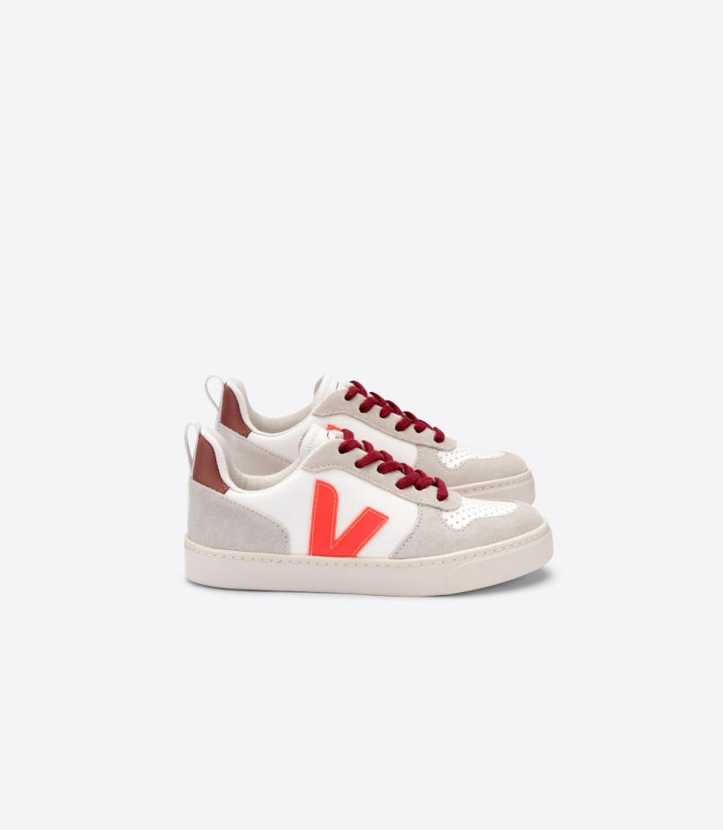 Veja X Bonton Coleção De Pétalas Secas Laranja Fluorescente