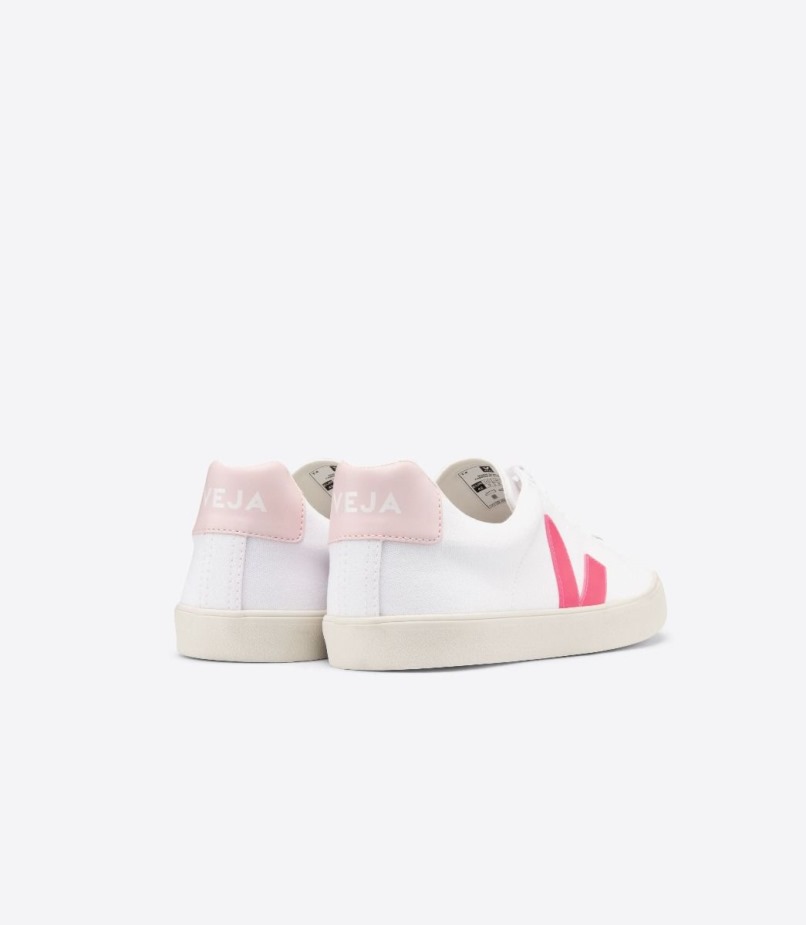 Veja Se Canvas White Rose Fluo Petale Series