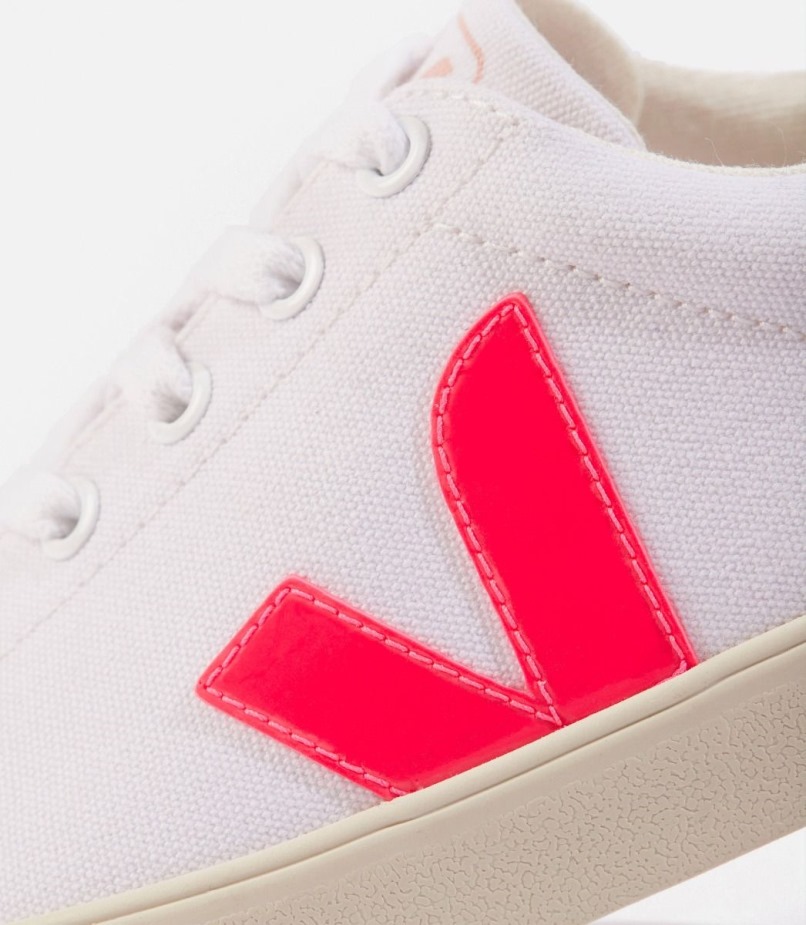 Veja Se Canvas White Rose Fluo Petale Series