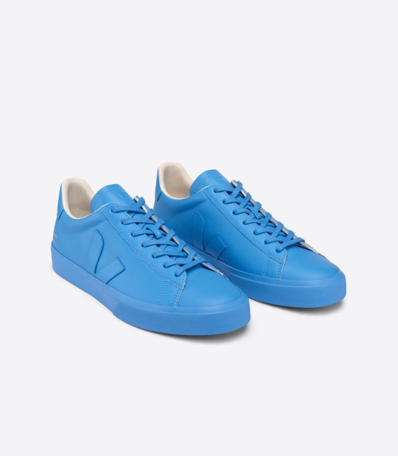 Veja X Mansur Gavriel Celeste Series