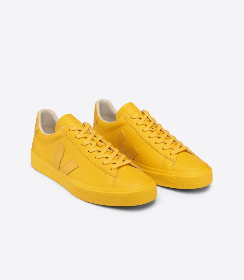 Veja X Mansur Gavriel Sunshine Especial